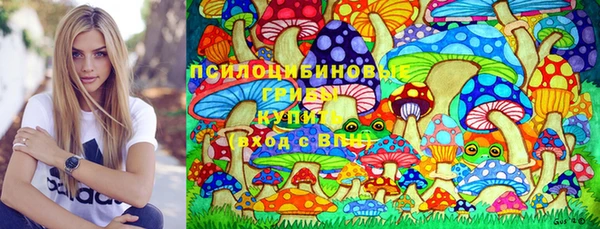 а пвп мука Алзамай