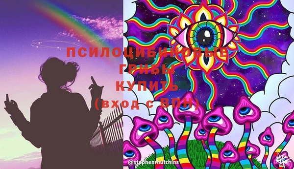 стаф Абинск