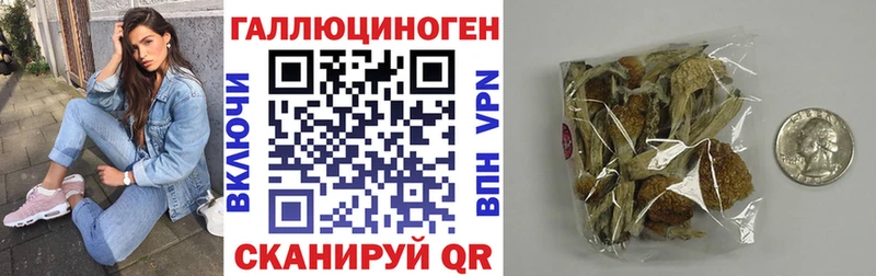 как найти закладки  Нефтегорск  Галлюциногенные грибы мухоморы 
