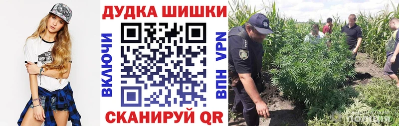 KRAKEN   купить наркоту  Нефтегорск  Шишки марихуана AK-47 